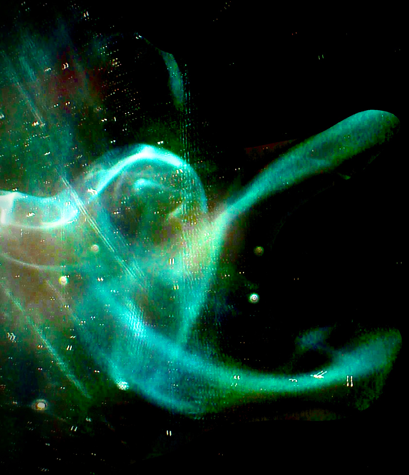 Navila's Photography